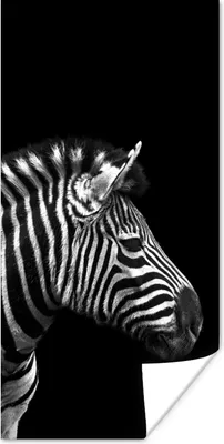 Produktbild von MuchoWow® Poster Zebra - Schwarz - Weiß - Porträt - Tiere 60x120 cm - Wandschmuck