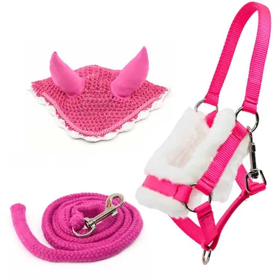 Productafbeelding van Set bestaande uit hoofdstel met muts, teugels en een roze muts voor een hobbypaard