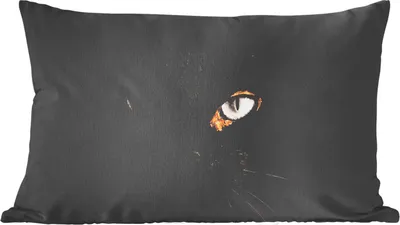 Produktbild von MuchoWow® Zierkissen Sofakissen Wohnzimmer Dekokissen 50x30 cm Katze - Gold - Schwarz - Wohnzimmerdekoration - Polster mit Photo
