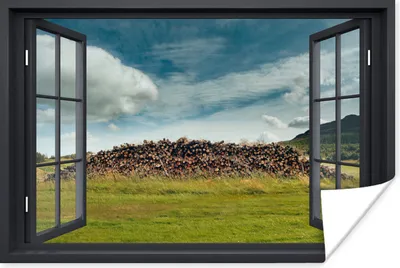 Produktbild von MuchoWow® Poster Durchsichtig - Holz - Gras 60x40 cm - Schlafzimmerdekoration