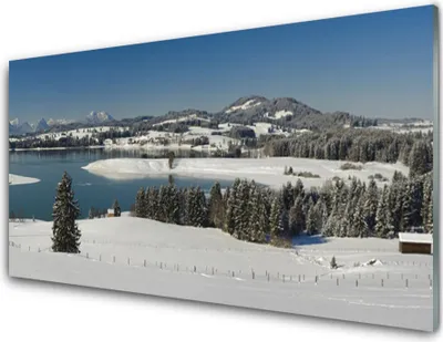 Produktbild von Acrylglasbilder 100x50 Wandbild Druck Schnee See Wald Landschaft