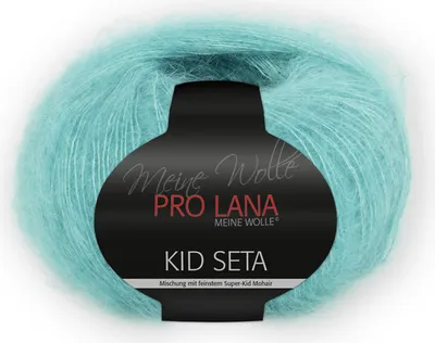 Produktbild von Pro Lana Kid Seta Uni 25g (67)