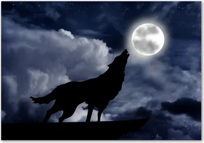 Produktbild von Tulup® Glas-Bild - 100 x 70 - Wandbild aus Glas - Wandkunst - Wandbild hinter gehärtetem Sicherheitsglas - Tiere - Wolf Vollmond - Schwarz
