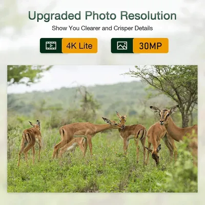 Produktbild von Wildkamera – Jagdkamera – Trailkamera – Tierbeobachtungskamera – Außenkamera – 4G-Konnektivität – 4K-Nachtsicht