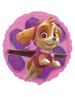 Produktbild von amscan Folienballon PAW PATROL Skye & Everest Ø43cm
