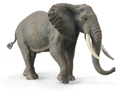 Produktbild von Collecta Figure 88966 – Grey Animal Toy – Plastic