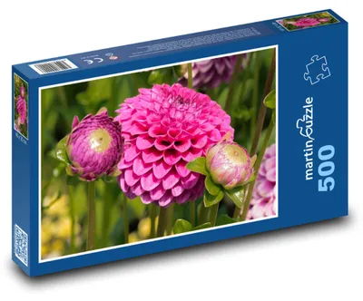 Zdjęcie produktu dla martinpuzzle - Puzzle 500 elementów - Jiřina