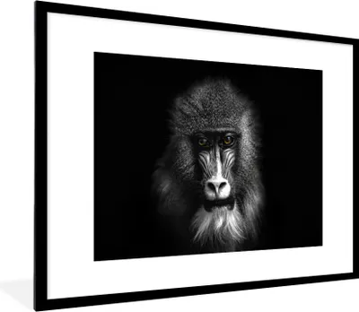 Produktbild von MuchoWow® Gerahmtes Poster Affe - Tiere - Augen - Braun - Schwarz und weiß 80x60 cm - Poster mit Schwarzem Bilderrahmen Wandposter Rahmen Foto Bilder - Schlafzimmer-Dekorationen - Fotoposter