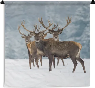 Produktbild von MuchoWow® Wandteppich Wandbehang Hirsche - Tiere - Schnee - Winter - Landschaft - Natur 60x60 cm Tapisserie Dekoration Wandtuch - Dekorationen - Wand Decke