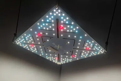 Produktbild von Bloomstar FLUXshield 300 (110W)
