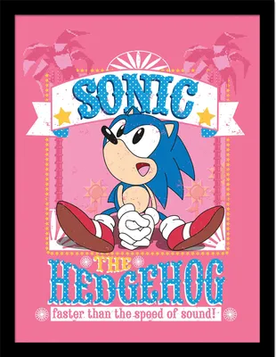 Image de Sonic The Hedgehog - Poster encadré "Plus vite que la vitesse du son" PM8417 (40 cm x 30 cm) (Rose)