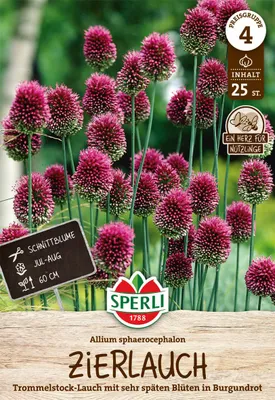 Produktbild von SPERLI Zierlauch Allium sphaerocephalon 25 Zwiebeln