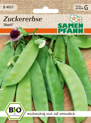Artikelbild 1 von 'BIO Zuckererbse Norli' aus der Kategorie Zuckererbsensamen