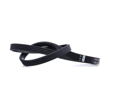 Produktbild von FEBI BILSTEIN Keilrippenriemen 860mm für BMW 3 Touring (E91) 38443