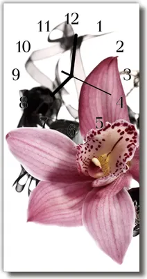 Produktbild von Tulup Glasuhr Wanduhr Küchenuhr Echt-Glas 30x60 Orchidee Mehrfarbig