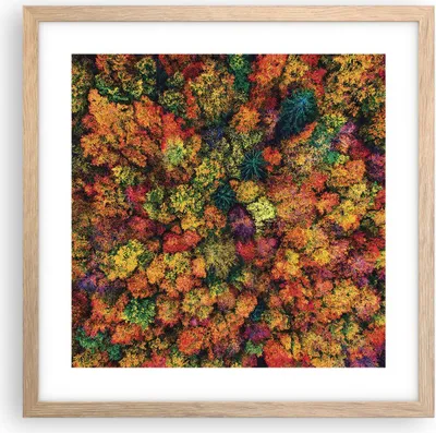 Produktbild von Gerahmtes Poster - Rahmen in heller Eiche - Herbst Perspektive Vogel - 40x40 cm - Wand Bild - Wanddeko - Wandbilder - Kunstposter - Wandposter - Bilderrahmen - Bilder - Kunstdruck - P2NAC40x40-4478
