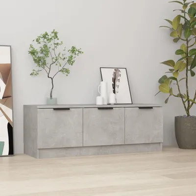 A concrete gray TV cabinet with three doors is shown in a room with a plant and artwork.