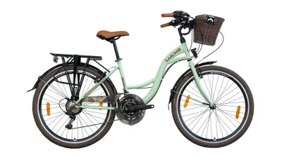 Produktbild von Luchs Feline 24-Zoll Citybike – 7-Gang Shimano Fahrrad mit Rattankorb, Beleuchtung ideal ab 135 cm Körpergröße Kinderfahrrad Hollandrad Bike Minzgrün