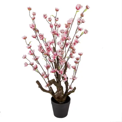 Immagine prodotto di Clayre & Eef Fiore di ciliegio artificiale 70 cm Rosa Plastica