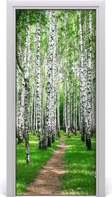 Immagine prodotto di Adesivi decorativi per pareti, dimensioni 95x205 cm, autoadesivi, impermeabili, rimovibili, ideali per camere da letto, soggiorni e arredamento. Marca: Birkenwald
