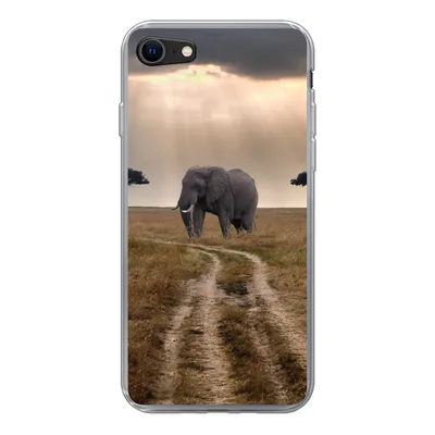 Produktbild von MuchoWow® Handyhülle Schutzhülle Hülle für iPhone SE 2022 Elefant - Tiere - Wiese - Sonne Silikon Softcase Handy Hülle - Schutzhülle