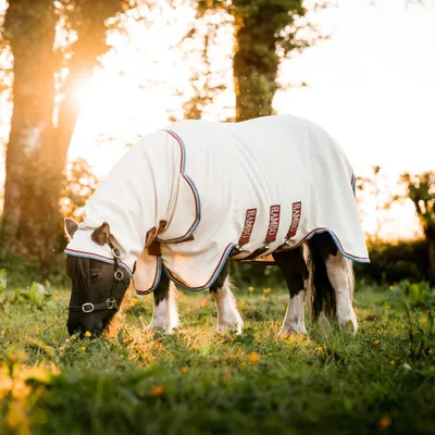 Zdjęcie produktu dla Horseware Rambo Petite Hoody