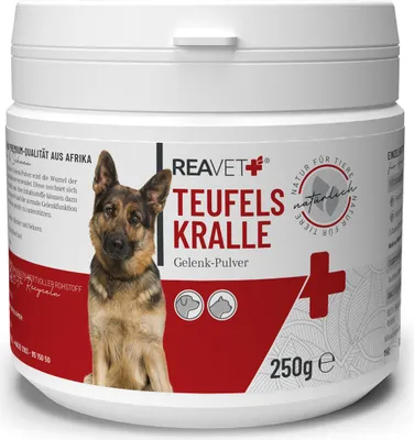 Produktbild von REAVET Afrikanische Teufelskralle für Hunde & Katzen 250g – Naturrein in  – unterstützt Beweglichkeit + Gelenkfunktion I Teufelskrallen Pulver Gelenkpulver Ohne Zusätze