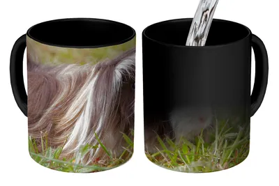 Obrázok produktu pre MuchoWow® Magický pohár Dlhosrsté morča 350 ml Pohár na zmenu farby Darček Nápad na darček - Foto hrnček