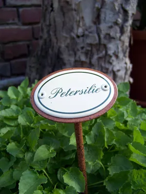 Produktbild von Petersilie Pflanzenstecker Pflanzenstäbe Kräuter-Sorten Kräutergarten