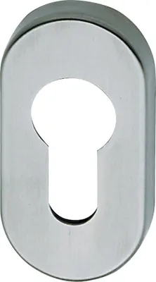 A close-up, studio shot of a silver-colored keyhole escutcheon plate.
