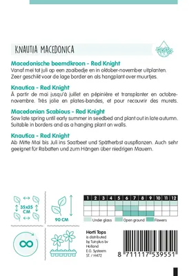 Produktbild von Knautia Red Knight | Blumensamen von Hortitops