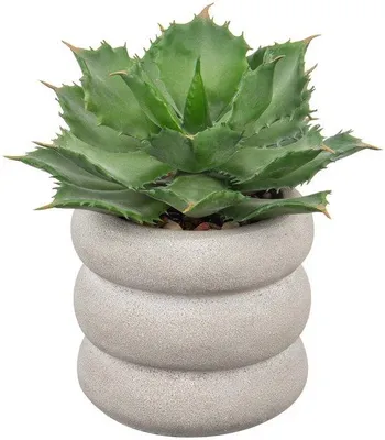 Image de Plantes grasses artificielles dans un pot en céramique de 22 cm, une décoration idéale pour le salon, le balcon et le bureau.