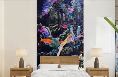 Produktbild von MuchoWow® Fototapete für Wohnzimmer oder Schlafzimmer Wandtapete Vinyl Motivtapete Buntes Aquarium - 120x240 cm - Hintergrundbild