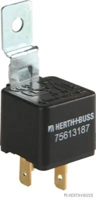 Obrázok produktu pre Arbeitsstromrelais 12V 40A 75 613 187