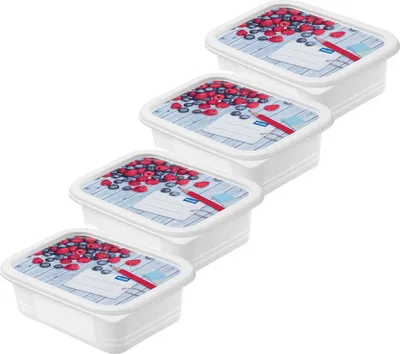 Produktbild von Rotho Set Gefrierdosen 4 tlg. 7551602120