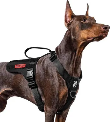 Obrázek produktu pro Taktický postroj pro velké psy, nastavitelný, pohodlný