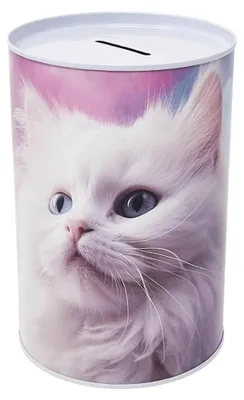 Sparbüchse Katze, Metall, 16 x 11 cm, nicht zu öffnen