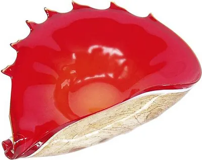 Produktbild von Muschelschale Jozy Art Queen (18cm)