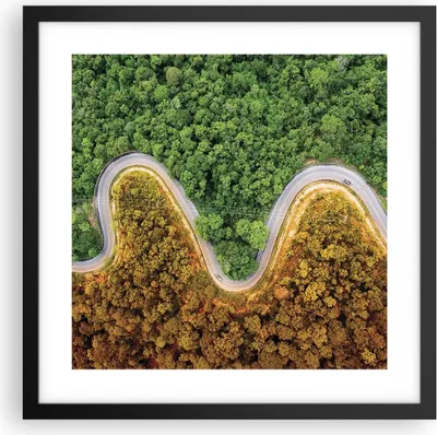 Produktbild von Gerahmtes Poster - Schwarzer Rahmen - Luftaufnahmen Weg Wald - 40x40 cm - Wand Bild - Wanddeko - Wandbilder - Kunstposter - Wandposter - Bilderrahmen - Bilder - Kunstdruck - P2BAC40x40-4659