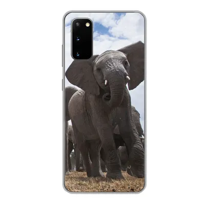 Produktbild von MuchoWow® Handyhülle Schutzhülle Hülle für Samsung Galaxy S20 Elefant - Tiere - Natur - Flachland Silikon Softcase Handy Hülle - Bild