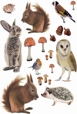 Produktbild von ESTAhome Wandtattoo Waldtiere Braun 47.5 x 66 cm