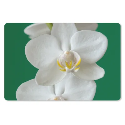 Produktbild von MuchoWow® Mauspad Mousepad Orchidee mit grünem Hintergrund 27x18 cm - Mousepads - Maus Mat - Pad - Mausunterlage - Büroartikel - Desk Matten