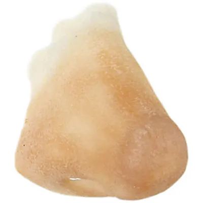 Produktbild von Grimas Latex normale Nase 110