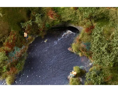 Produktbild von Auhagen Weiher 76966