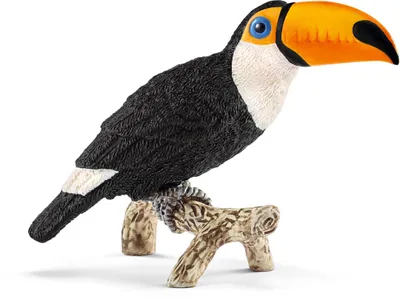 Obrázok produktu pre Schleich 14777 - Tukan - Wild Life