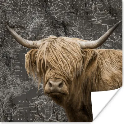 Produktbild von MuchoWow® Poster Schottische Highlander - Weltkarte - Tiere 75x75 cm - Wand Dekoration