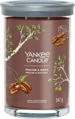 Produktbild von Yankee Candle Tumbler Praline & Birch 567 g