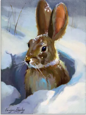 Produktbild von ARTland Glasbild Schneehase Größe: 60x80 cm