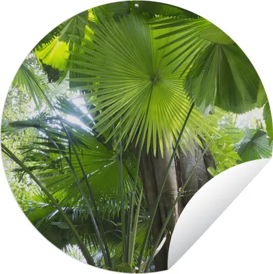 Produktbild von MuchoWow® Gartenposter Outdoor-Poster Rund Tropischer Regenwald Ø 120 cm Gartendeko Rundes Poster draußen