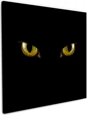Produktbild von Wallario Premium Leinwandbild Gelbe Katzenaugen bei Nacht in Größe 50 x 50 cm